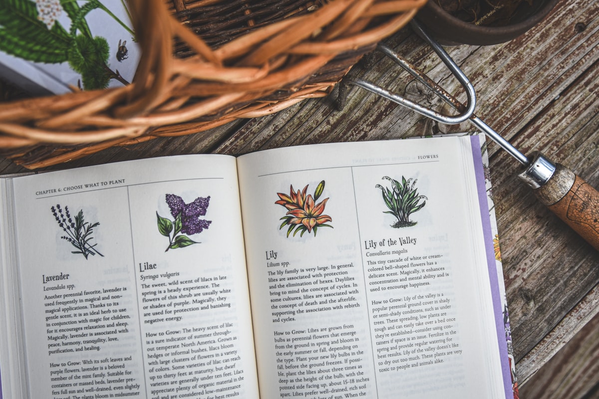 Unani medicine philosophical foundations