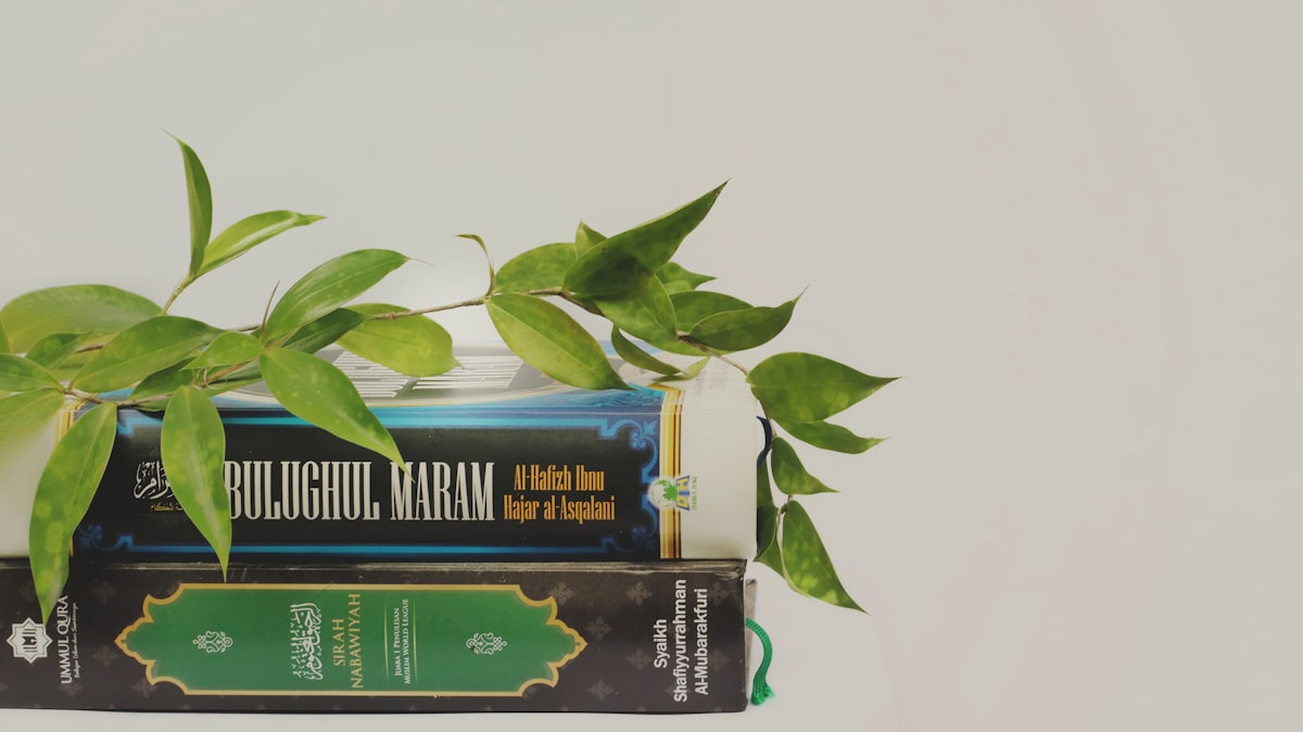 Seasonal living in traditional wellness